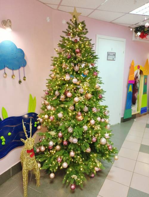 Картинка к новости